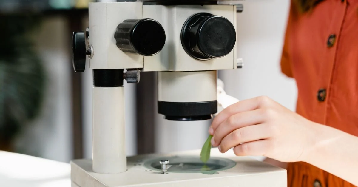 Un enfant examine une feuille de plante sous un microscope dans un cours de sciences.