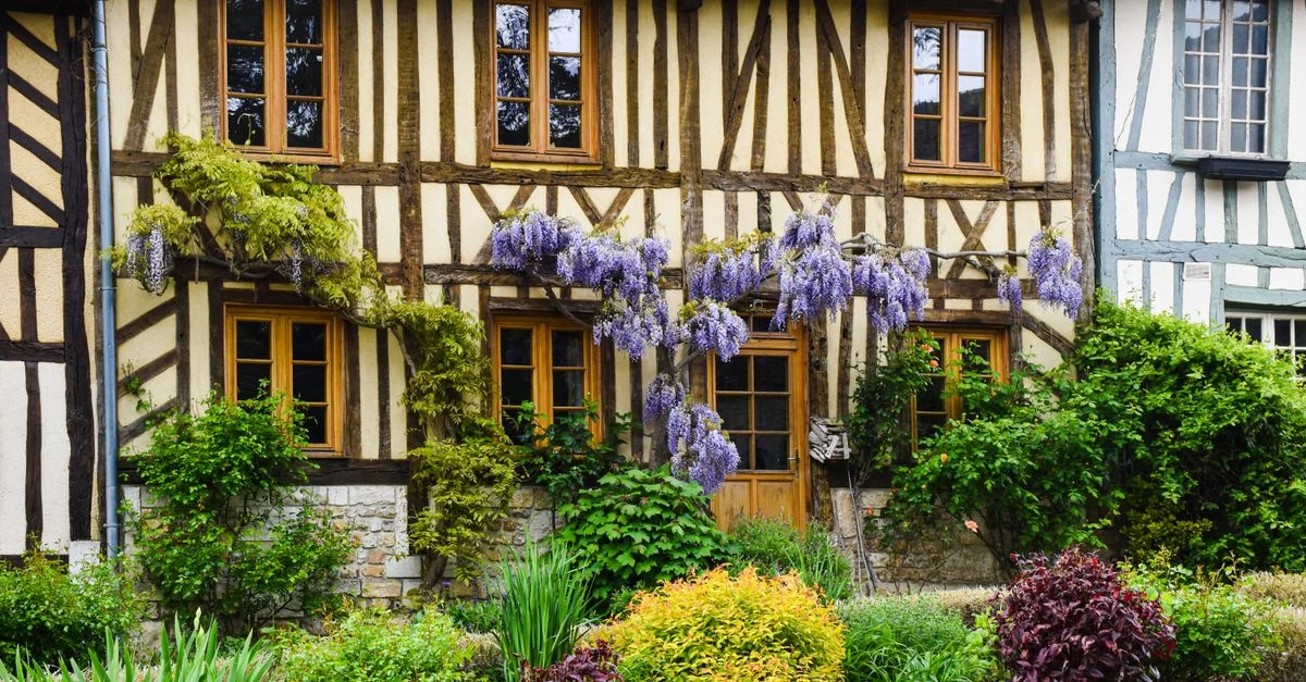 Charmante maison à colombages de Normandie avec une glycine en fleurs et un jardin luxuriant.