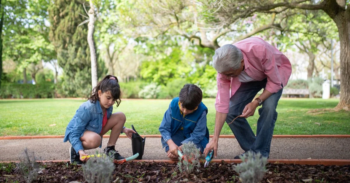 Un homme senior jardine avec ses petits-enfants dans un parc verdoyant par une belle journée.